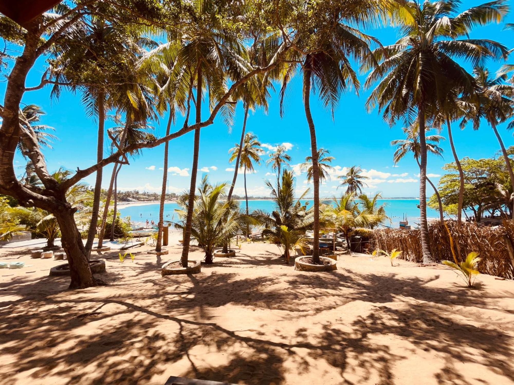 Coconut Hill Arugam Bay Hostel ภายนอก รูปภาพ